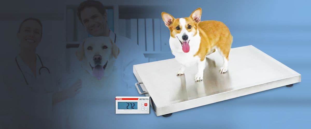 VET550 Medium-to-Large Size Animal Veterinary Scale