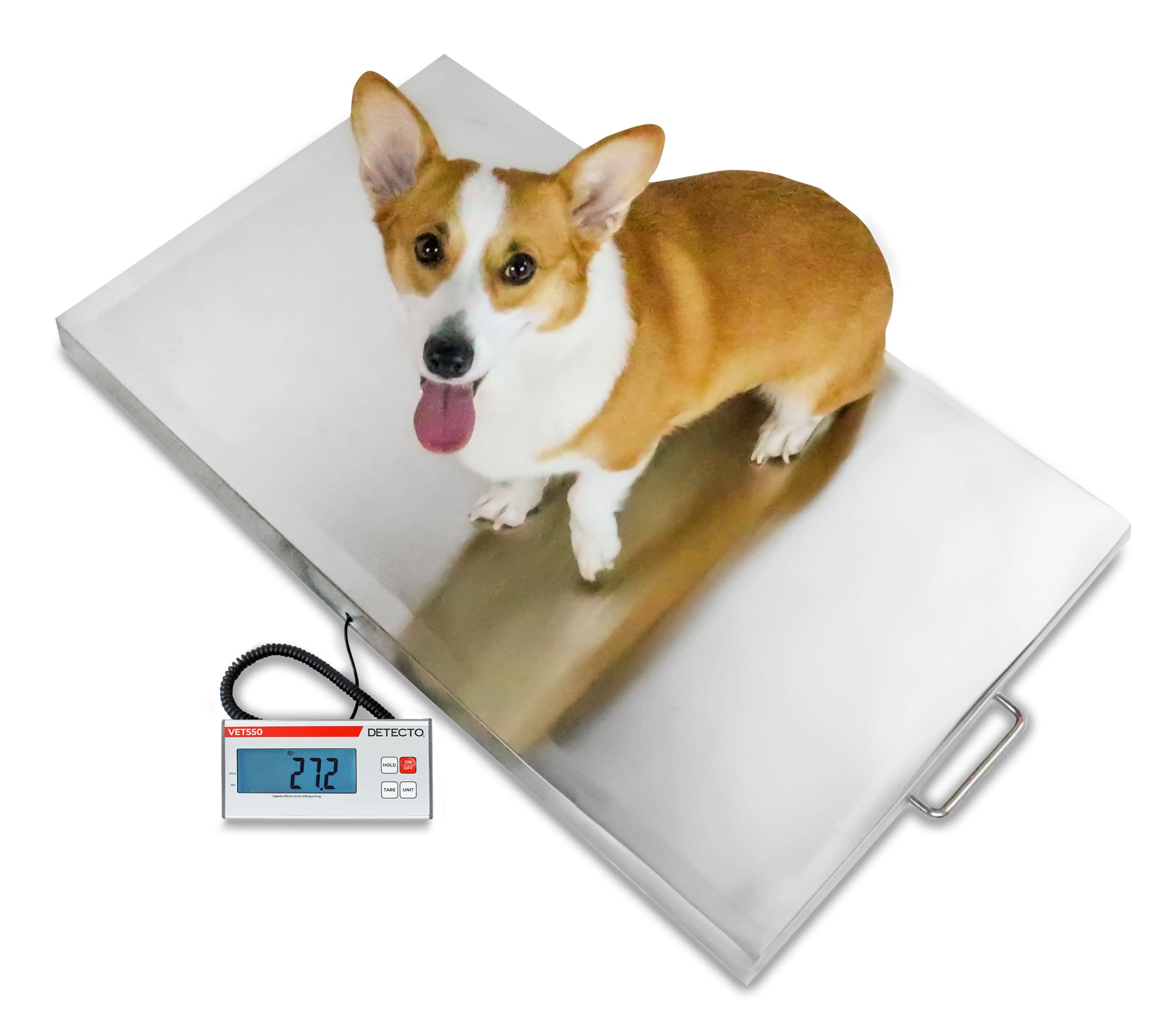VET550_-_Corgi_Overhead.jpg